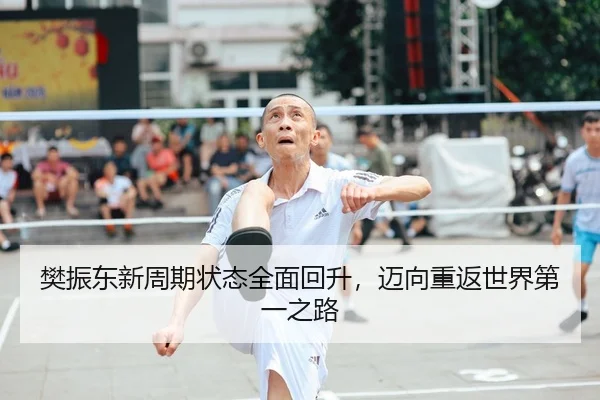 樊振东新周期状态全面回升，迈向重返世界第一之路